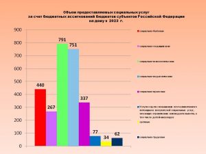 2. Объём предоставляемых социальных услуг на дому за 2023 год