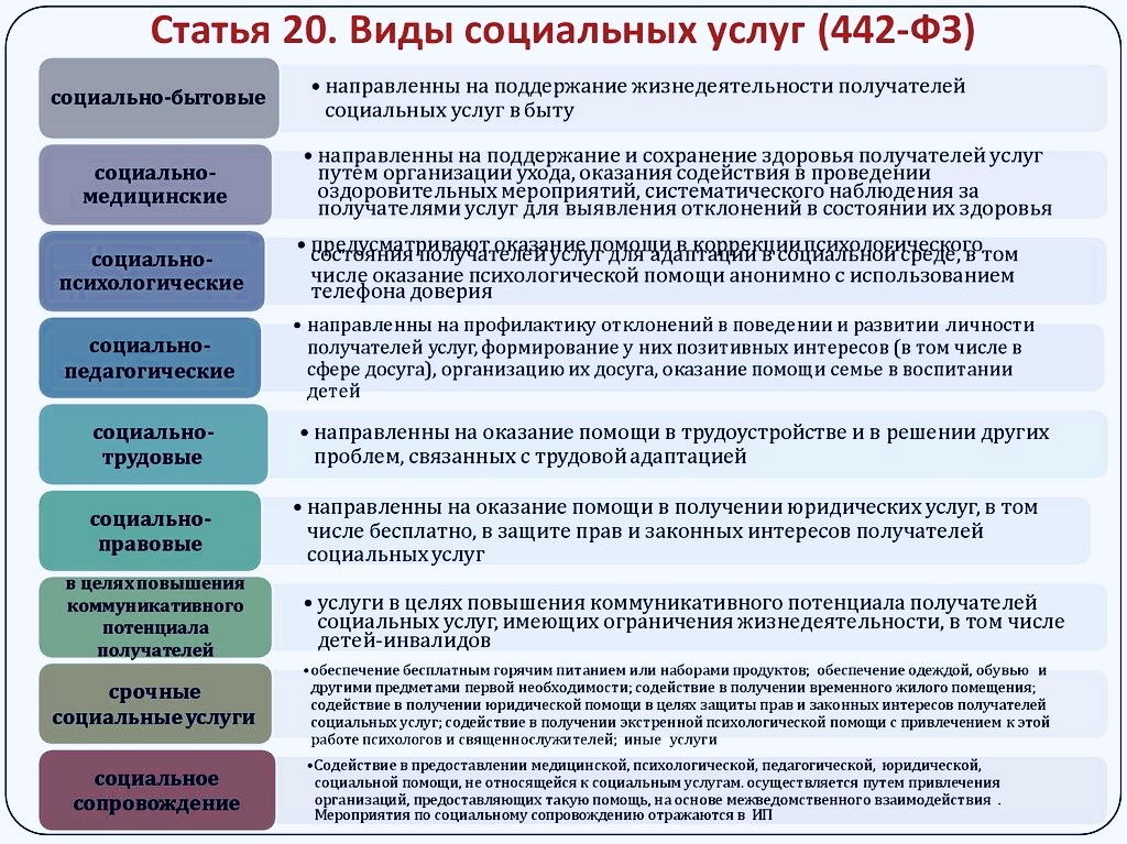 Последовательность и сроки выполнения работ в рамках социального проекта это