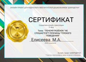 Елисеева - сертификат