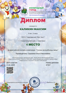 Сорокина - Каликин Максим