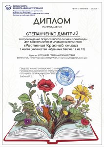 Степанченко Дмитрий